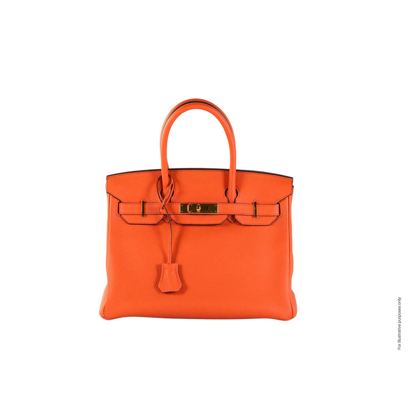 Birkin bag is used for illustration purposes