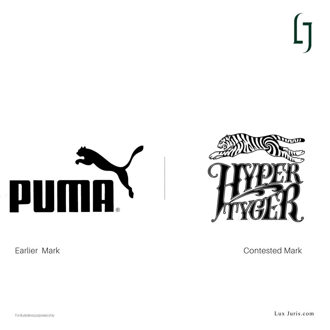 PUMA vs HYPER TYGER: When Getting Too Close Becomes a Problem